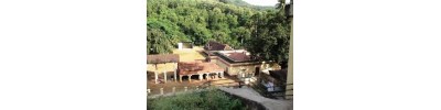 ஆரியங்காவு - கேரளா
